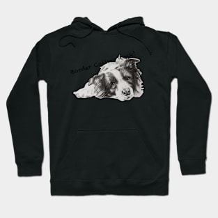 Border Collies Rock Hoodie